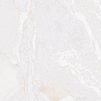 Керамогранит Planet White Metal Soft
