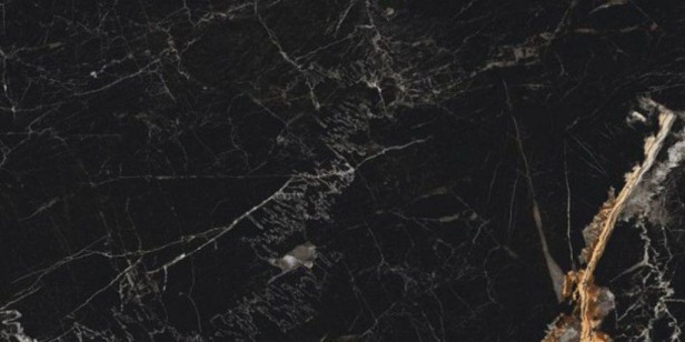 Polished Vience Black High Gloss