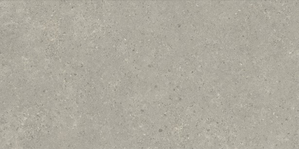 Status Carbon Натуральный Рект