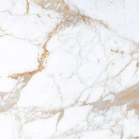 Керамогранит Belleza Roman Brown Glossy 60x60