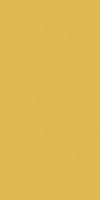 Плитка Rako Color Two темно-желтая матовая 10x20 напольная GAAD8142