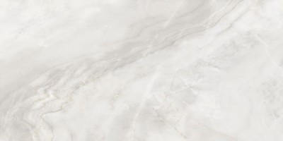 Керамогранит Neodom Marble Astoria Bianco Polished 60x120 N20533 Керамогранит Neodom Marble Astoria Bianco Polished 60x120 N20533