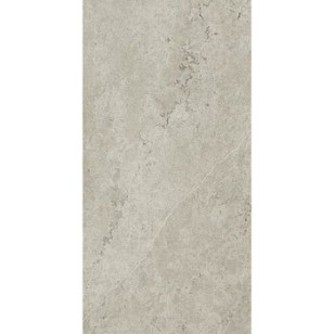 Metropolis Absolut Silver