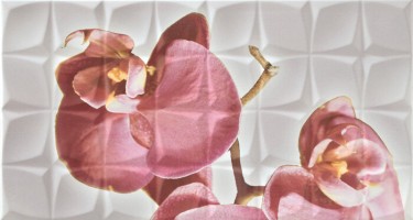 Декор Rocersa Glamour Orchid C Blanco 31.6x59.34