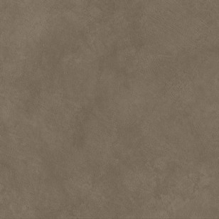 Керамогранит Atlas Concorde Italy Boost Natural Umber 60x60 A66F
