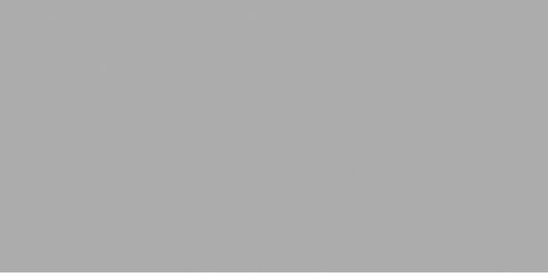 Керамогранит Ocean Ceramic Exotic Light Grey Matt 60x120 OC0000203