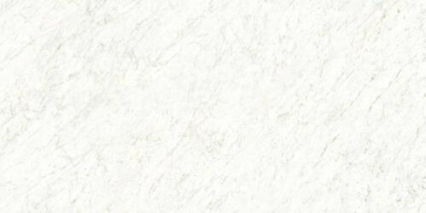 Керамогранит Ariostea Marmi Classici Bianco Carrara Lucidato Shiny 60x120 PL612555