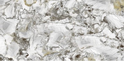 VanHong Polished