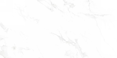 Керамогранит Neodom Supreme Venus Bianco Polished 60x120 N12003