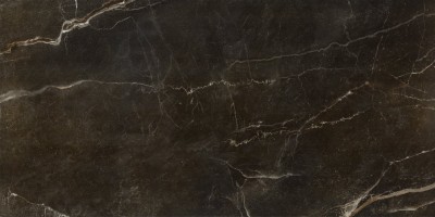 Империал Блэк Рельеф 60x120 / Imperial Black Relief 60x120 Seranit
