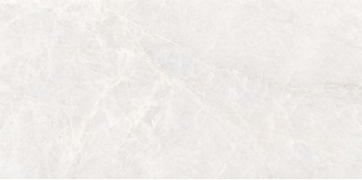 Керамогранит Staro Rizzi Taj Bianco Polished 60x120 17533657 Керамогранит Staro Rizzi Taj Bianco Polished 60x120 17533657