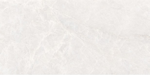Керамогранит Staro Rizzi Taj Bianco Polished 60x120 17533657
