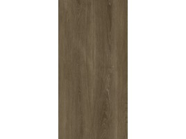 Albero (Protiles)