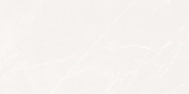 Керамогранит Laparet Opera Bianco Белый Матовый Карвинг 59.5x119.1 LP6012G0191R
