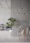 Noble Grey (Delfone)