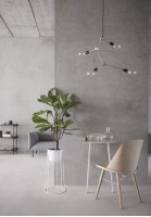 Noble Grey (Delfone)