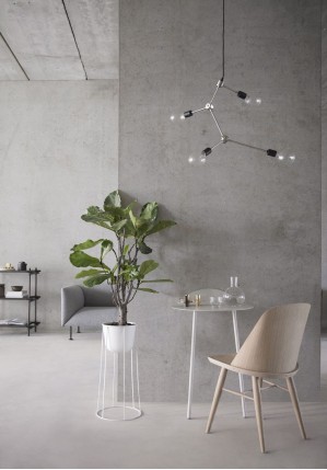 Noble Grey (Delfone)