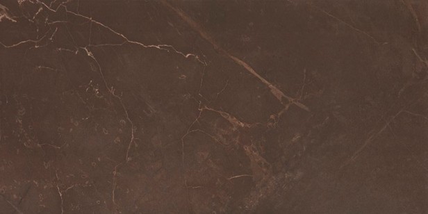 Плитка AltaCera Flexion Marble Marron 24.9x50 настенная WT9MRB21