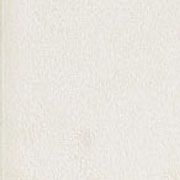 Charme Pearl Tozzetto