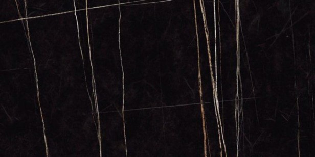 Polished Sahara Black