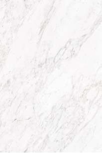 Керамогранит Artcer 1XL Rok Carrara White Poli 120x180