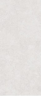 Matt Onega Silver Xylotech