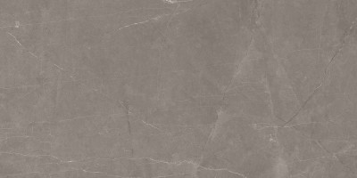 Керамогранит Ceradim Stone Micado Grey серый полированный 60x120