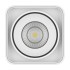 Светильник Lightstar Monocco точечный накладной декоративный со встроенными светодиодами белый 052316