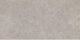 Керамогранит Kerama Marazzi Риккарди серый светлый матовый обрезной 60x119.5 SG519920R