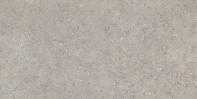 Риккарди серый светлый матовый обрезной 60x119.5 SG519920R
