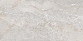 Керамогранит Art Ceramic Stonico Oyster Grey Glossy 60x120