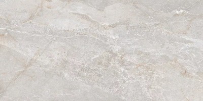 Керамогранит Art Ceramic Stonico Oyster Grey Glossy 60x120