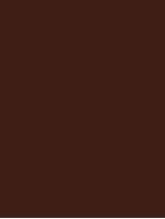 Плитка Rako Color One коричневая глянцевая 25x33 настенная WAAKB009