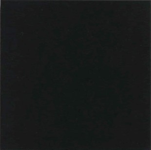 Плитка Vives Ceramica Monocolor Negro 31.6х31.6 напольная