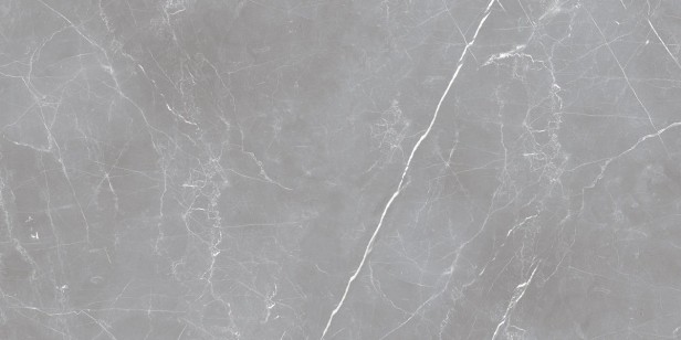 Керамогранит Ocean Ceramic Arion Gray Dark 20 mm 61x121 IRN000050