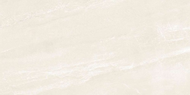 Керамогранит Ocean Ceramic Lumina Bone матовый 60x120