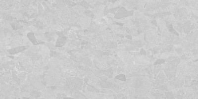 Керамогранит Living Ceramics Eme Light Grey Antislip 60x120 LV11350