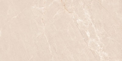 Керамогранит Neodom Stone Persian Beige Tm 80x160 N20499 Керамогранит Neodom Stone Persian Beige Tm 80x160 N20499
