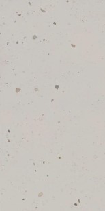 Taraskon Sery Svetly Matovy
