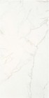 Керамогранит STN Ceramica Thuile Venato Natural Mt 60x120 CAN5THUIVDAA