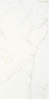 Керамогранит STN Ceramica Thuile Venato Natural Mt 60x120 CAN5THUIVDAA Керамогранит STN Ceramica Thuile Venato Natural Mt 60x120 CAN5THUIVDAA