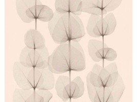 Обои X-Ray (As Creation)