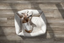 Bremen (Global Tile)