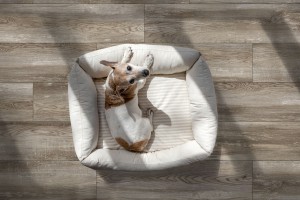 Bremen (Global Tile)