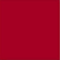 Плитка Vives Ceramica Monocolor Rojo Volcan 20x20 напольная