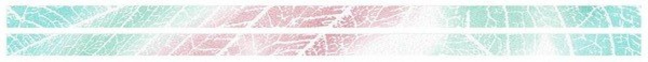 Бордюр Нефрит-Керамика Амапола Бостон розовый 3x50 25-94-00-41-87