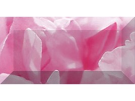 Peony (Ceramica Classic)
