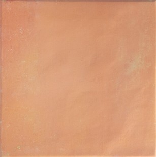 Керамогранит DNA Tiles Bow Square Cotto 18.5x18.5