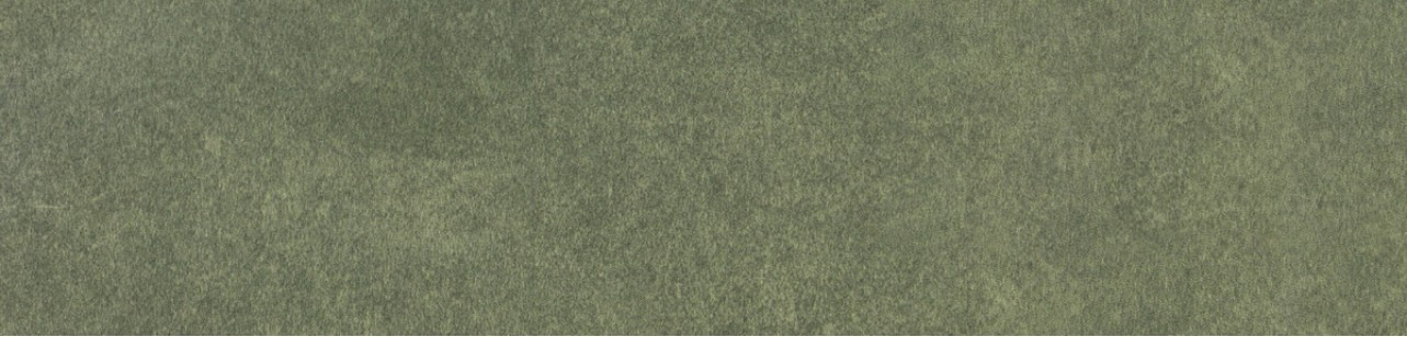 Керамогранит Motto Ceramic Levels Forest Matt 6x25 N100040
