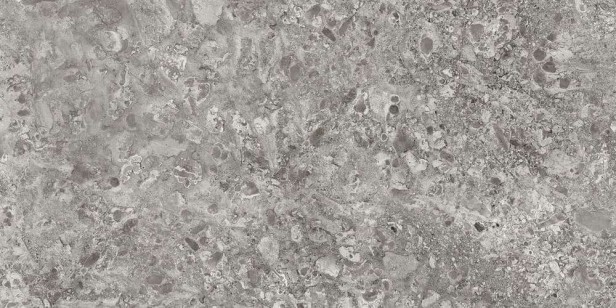 Керамогранит Керамика Будущего Граните Лунар Серый 60x120 ID9099b054LLR